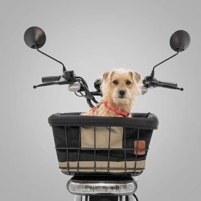 Dog Rider 32L Bee NAC – Preto
